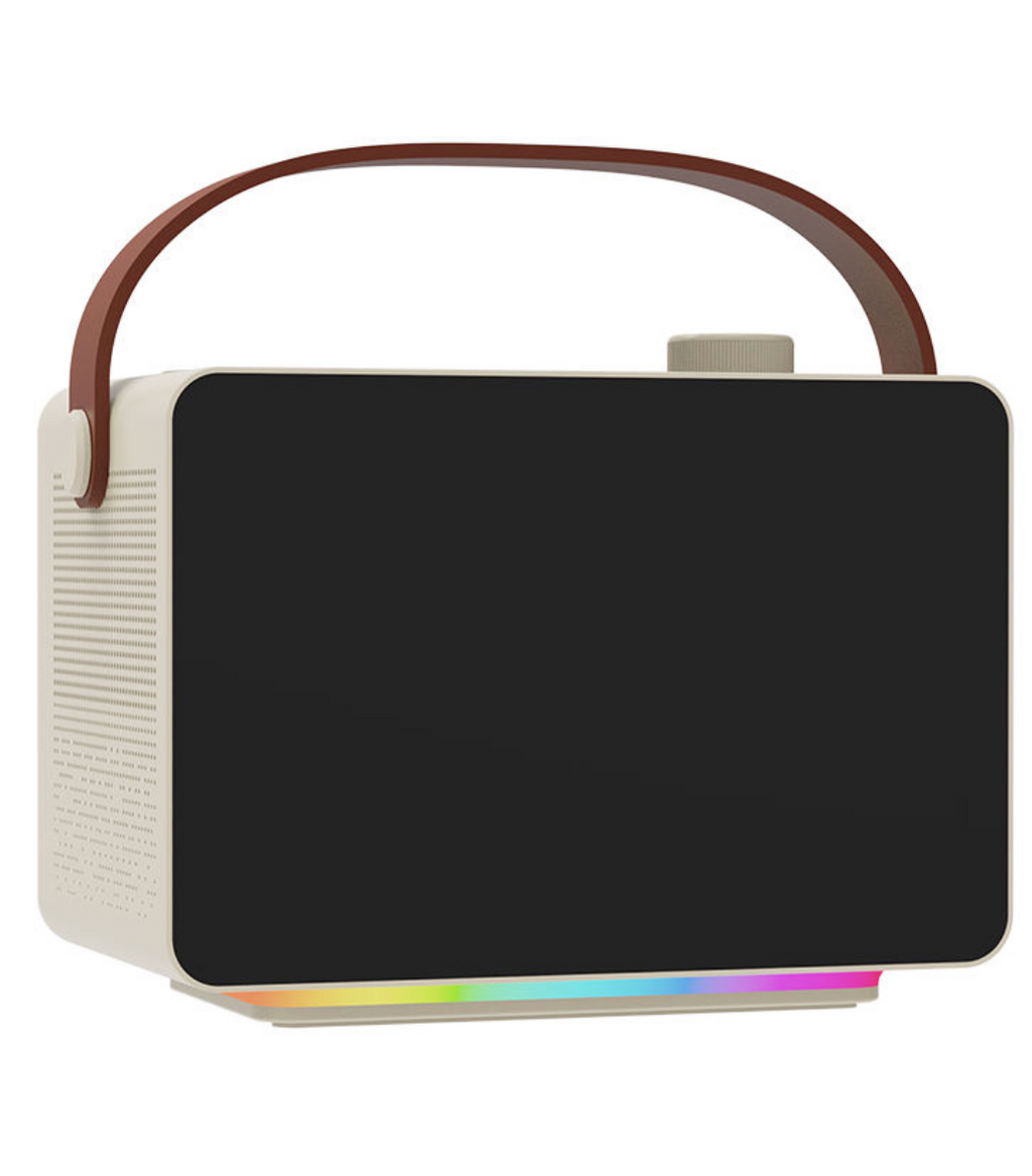 Portable Karaoke Machine for Adults & Kids