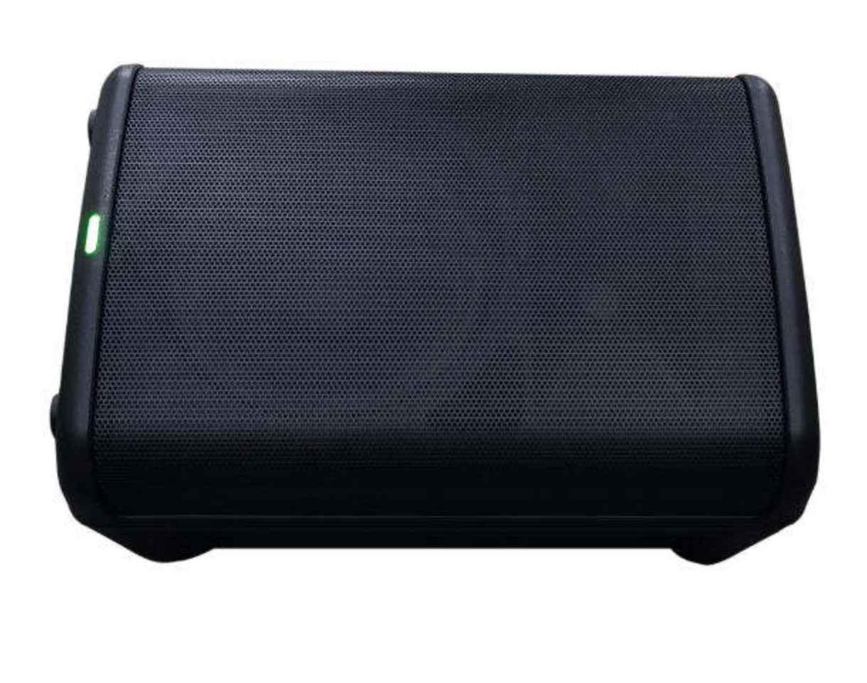 Class D Portable Battery-Powered PA Speaker